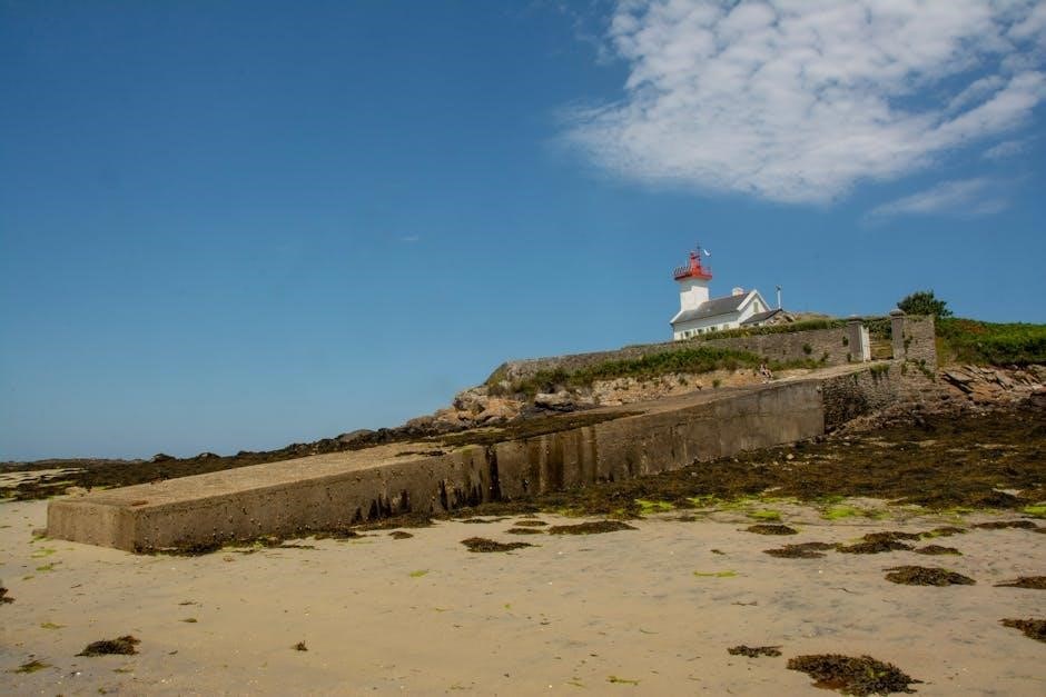 judy blue size guide