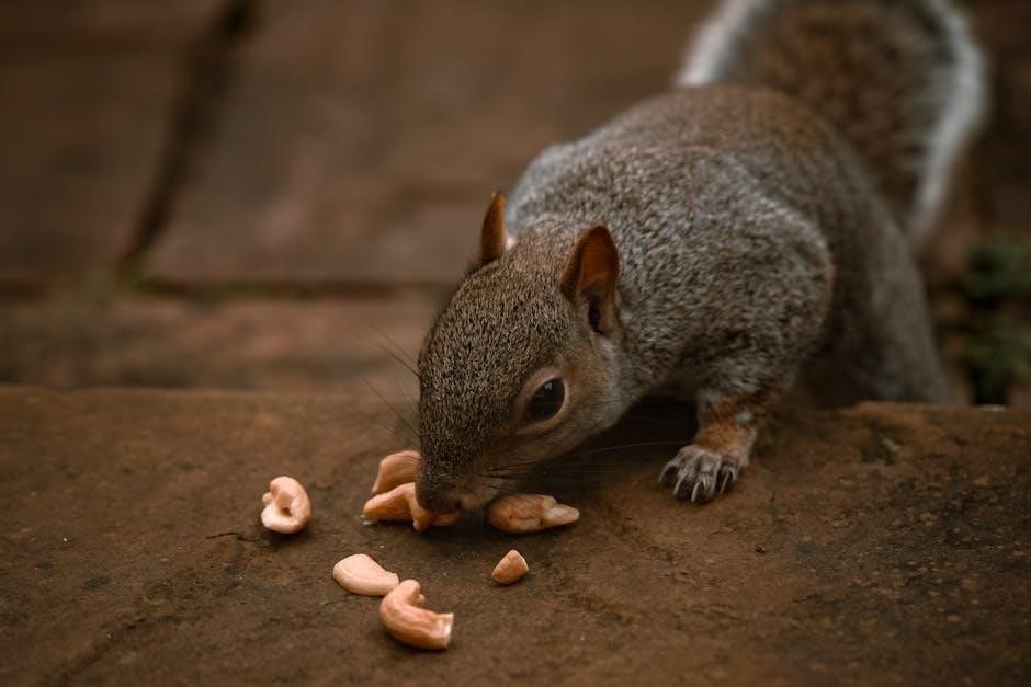 scotts fall weed and feed instructions pdf