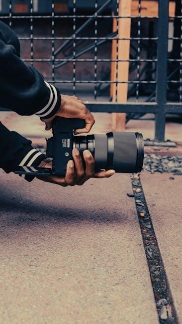 georgia driver’s manual 2024