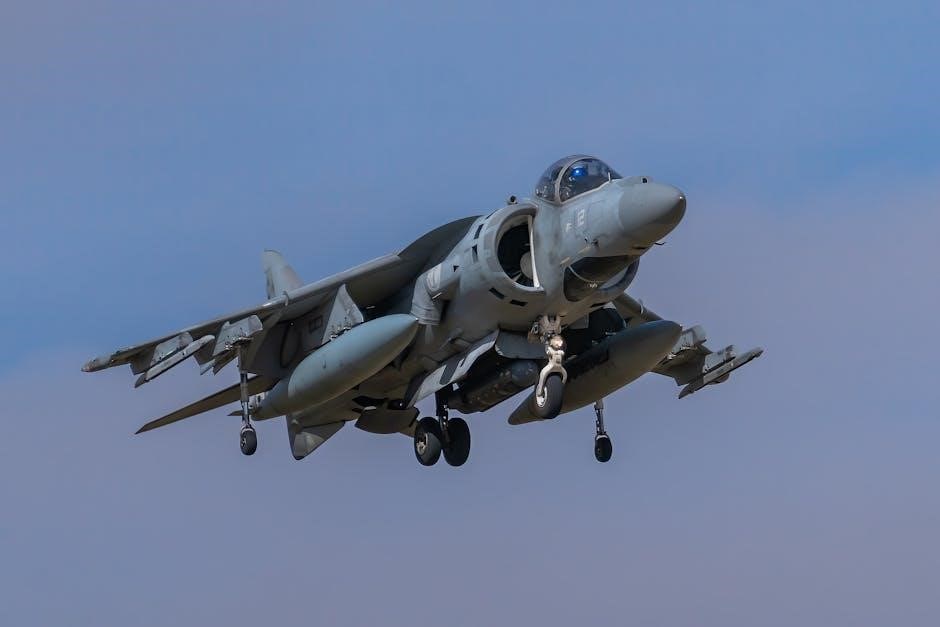 power of attorney in spanish pdf