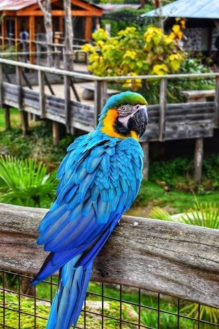 aras iecas y digitalicos o glucosidos pdf