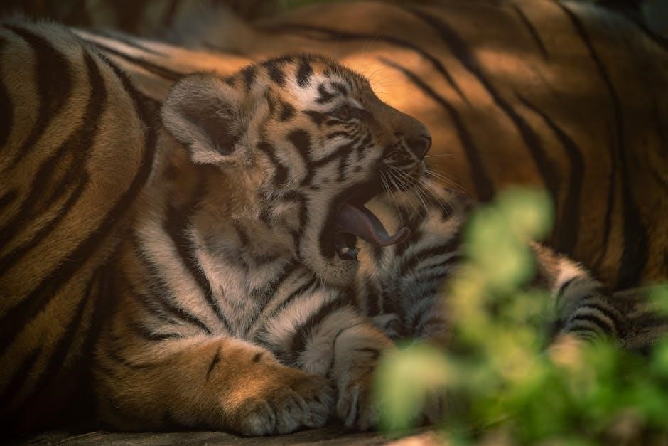 cat cj1000dxt manual