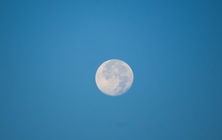 biogeochemical cycles pdf