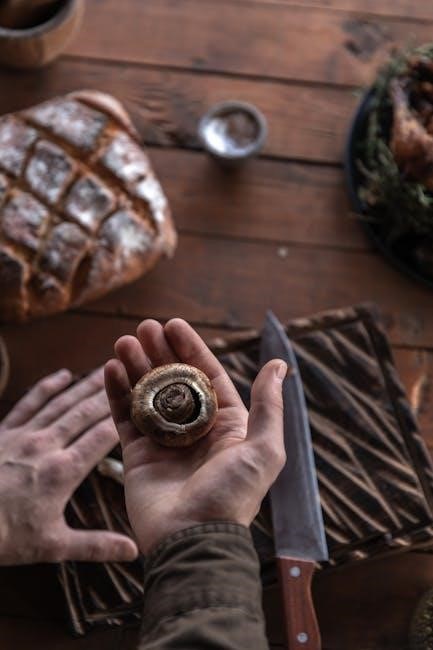 verbe irrégulier en anglais pdf