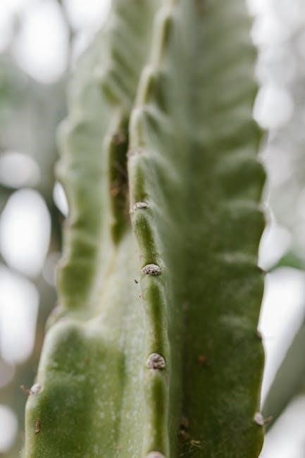 amen adhd questionnaire pdf